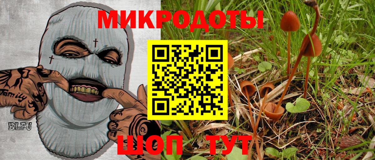 Галлюциногенные грибы Psilocybe Уссурийск