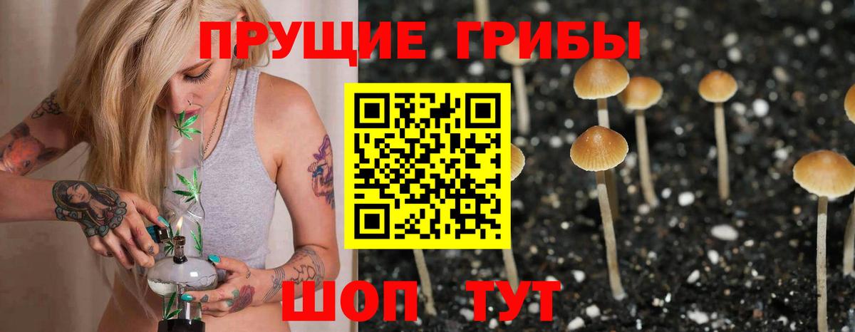 Уссурийск  Псилоцибиновые грибы Psilocybine cubensis  Вход с VPN  сколько стоит  Псилоцибиновые грибы Magic Shrooms 